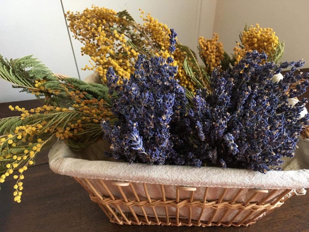 Bed and Breakfast Mas Halcyon Provence Avignon Exterior foto